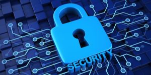 ck444 Privacy Policy
