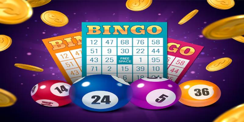 Players participating in a Ck444 bingo online session