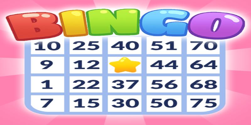 Overview of Ck444 bingo gameplay interface